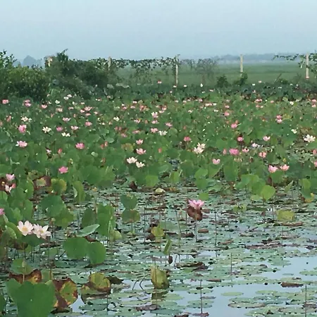 La'S Farmstay Trang Bang Экстерьер фото